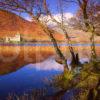 Autumn View Across Loch Awe Towards Kilchurn Castle Loch Awe Argyll