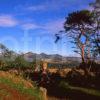 View Of The Eildon Hills From The Wallace Statue And Urn Near Bermersyde Scottish Borders