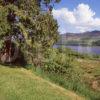 Loch Tummel Perthshire Spring