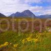 Rugged Scenery On Rannoch Moor With Buchaille Etive Mhor In View West Highlands