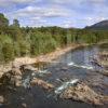 The River Dee From Invercauld Bridge