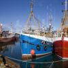 Frazerburgh Harbour Aberdeenshire