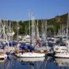 0I5D0161 Tarbert Harbour Full Of Yachts Summer 08