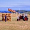 Drying The Hay On The Mull Of Galloway With Distant Lighthouse Cropped