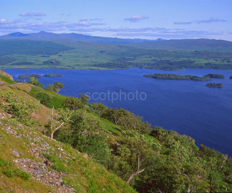 Summer View Of Loch Awe From The Slopes Of Ben Cruachan Argyll