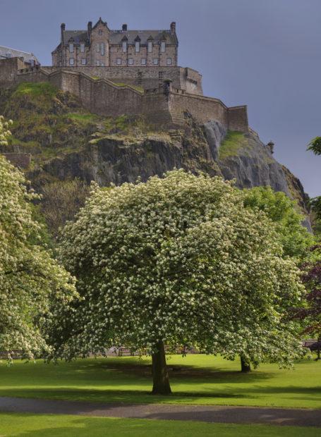 Y3Q9718 Edinburgh Castle