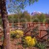 View Towards Ben Nevis As Seen From Kilmallie Gardens Corpach Fort William Lochaber