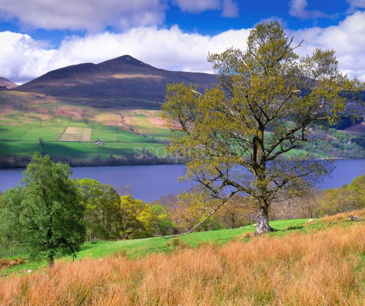 Loch Tay And Ben Lawers Perthshire