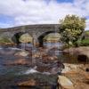 Spring Scene In Glen More Nr Aird Of Kinloch Island Of Mull