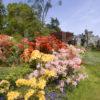 Achnacloich Castle And Gardens