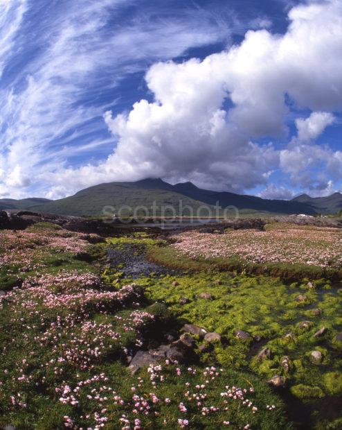 Towards Ben More From Loch Scridain Island Of Mull