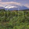 View Across Snowcapped Ben Nevis As Seen From Gairlochy