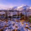 Winter Scene Looking Across The Corran Narrows Towards Ardgour Village Loch Linnhe West Highlands