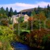 Early Autumn Scene In Crarae Gardens On Loch Fyne Argyll