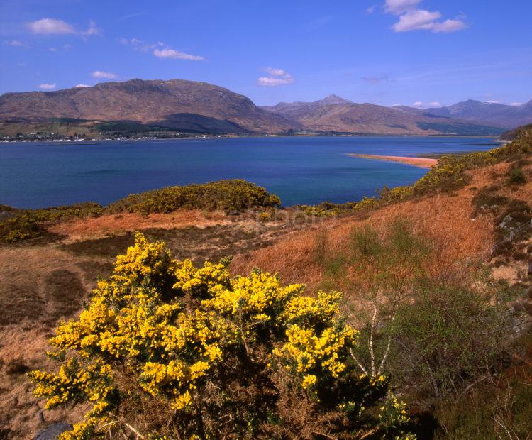 Spring View Across Loch Carron To Loch Carron Village