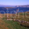 Whiten Head Durness