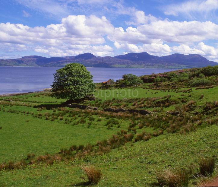 Springtime View Towards The Island Of Arran From Kintyre Argyll