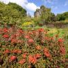 DSC 4671 Castle Kennedy From Walled Garden Nr Stranraer Galloway
