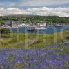 FERRY ARRIVES OBAN BAY SEEN FROM KERRERA