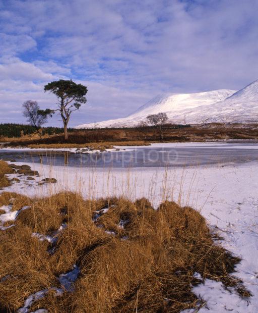 Winter From Frozen Shore Of Loch Tulla Nr Bridge Of Orchy West Highlands