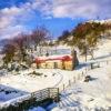 Winter Croft Argyll West Highlands