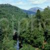 Killicrankie Gorge Perthshire