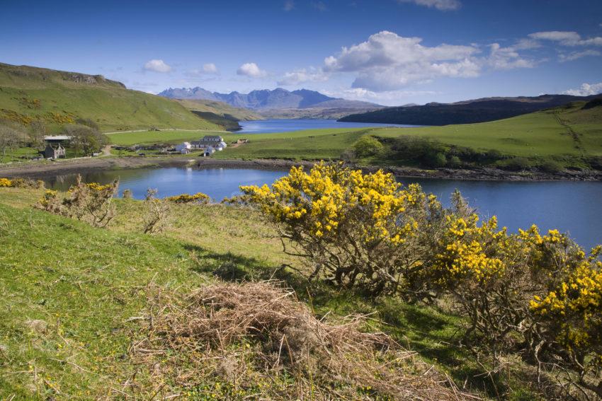 WY3Q9753 Spring Gesto Bay With Cuillins Skye