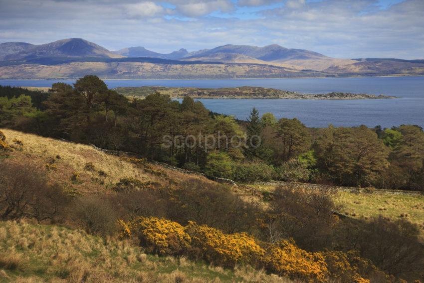 TOWARDS ARRAN FROM CARRADALE