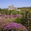 WY3Q8716 Glengorm Castle North Coast Of Mull