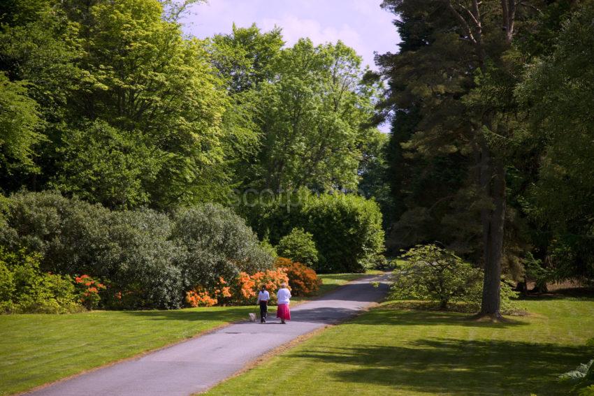 TOURISTS ACHAMORE GDNS ON GIGHA