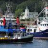 DSC 0142 Cluster Of Boats At North Pier With Dunollie Church Oban Bay