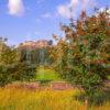 Colourful View Towards Stirling Castle Stirling And Trossachs Region Central Scotland