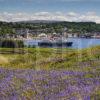 MV Isle Of Mull Emters Oban Bay As Seen From Kerrera