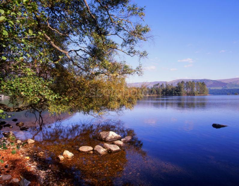 Loch Arkaig