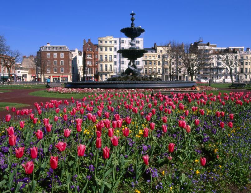 Fountain And Flowers Brighton