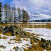 Winter Shore Of Loch Moy