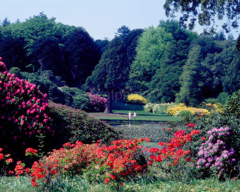 Castle Kennedy Gardens Dumfries And Galloway