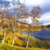 Loch Quoich