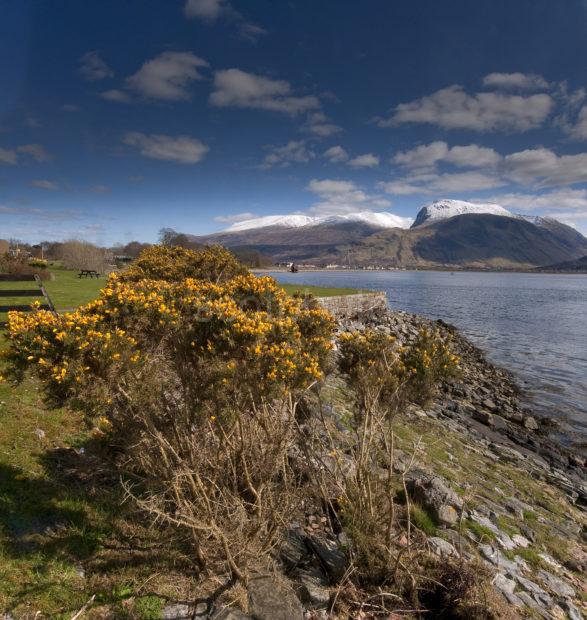 Inveraray Castle From Bridge Two