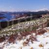 Winter Scene Overlooking Loch Garry West Highlands