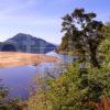 Late Summer Scene On Shore Of Loc H Laggan West Highlands