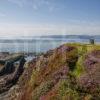 0afe8b01 1z6e7630 View Towards Mull From The Summit Of Hugh Hill On Easdale Island