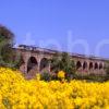 Class 47 614 Crosses Linlithgow Viaduct With A Mixed Rolling Stock