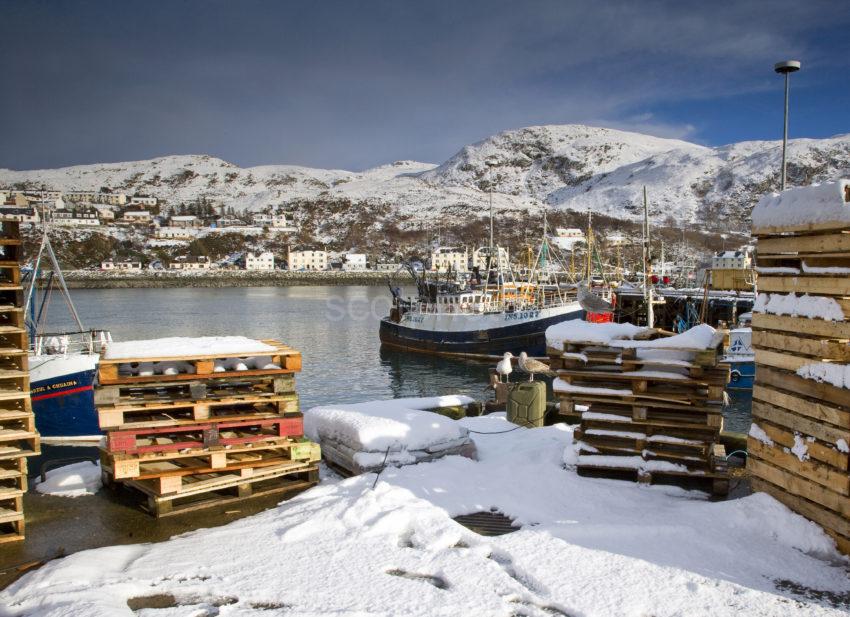 Winter Scene In Mallaig West Highlands