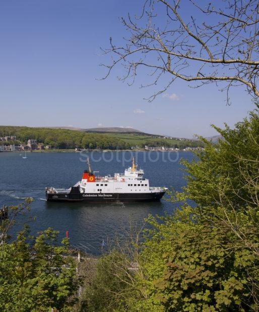 Portrait Shot Of The Bute Departing Rothesay