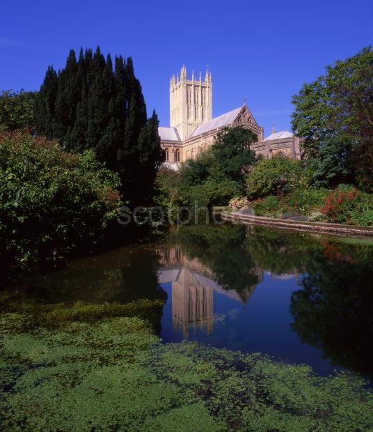 Wells Cathedral From Bishops Palace Wells