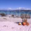 White Sandy Beach Island Of Iona Argyll