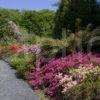 Beautiful Gardens At Achamore On Gigha