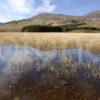 WY3Q4598 Loch Cillchriosd And Red Hills Skye