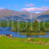 Late Summer View Across Loch Awe From East Argyll